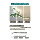 Luminária Premium de Teto dos Dinossauros Disponível em dois Modelos para Quartos e Hotéis. / Modelos Exclusivos Peças de Luxo.