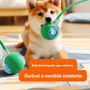 Brinquedo Interativo para Cães e Gatos - Recarregável Tipo-C.