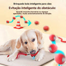 Brinquedo Interativo para Cães e Gatos - Recarregável Tipo-C.