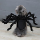AranhaPET - Fantasia para Cães e Gatos.