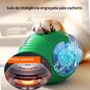Brinquedo Interativo para Cães e Gatos - Recarregável Tipo-C.