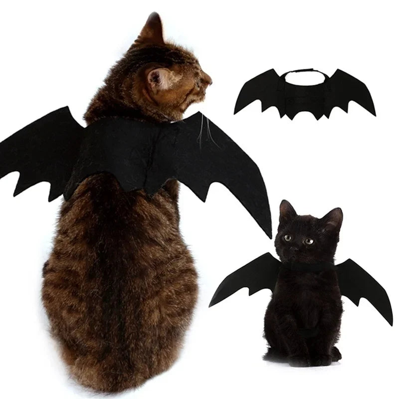 BatPet🦇