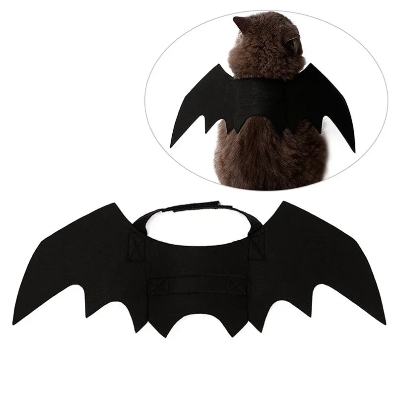 BatPet🦇