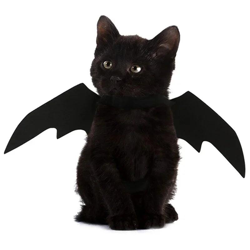 BatPet🦇