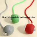 Brinquedo Interativo para Cães e Gatos - Recarregável Tipo-C.