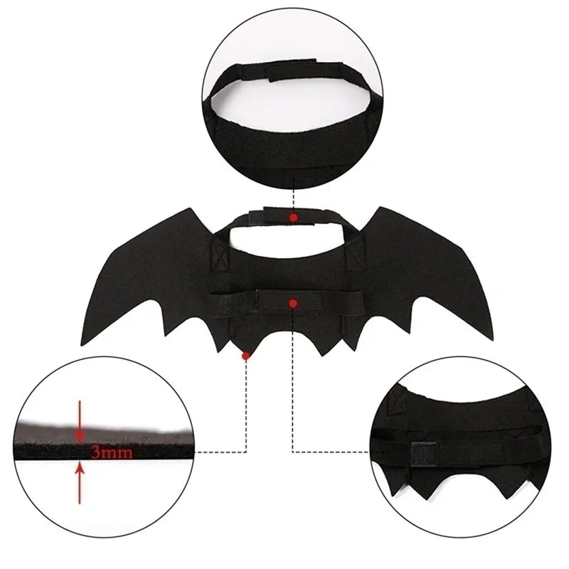 BatPet🦇