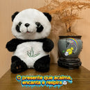 🐼Pandinha Baby - Alívio para Ansiedade e Noites Mal Dormidas.💤