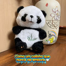 🐼Pandinha Baby - Alívio para Ansiedade e Noites Mal Dormidas.💤