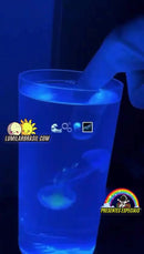 🪸AquaGlow – O Show Encantador das Águas-Vivas 🪼