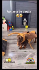 Lançamento Exclusivo - Fantasia BarataPET - para Cães e Gatos de Médio Porte🪳