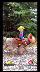 🤠Cowboy Pet – Aventura e Fofura em Cada Passo🐾✨