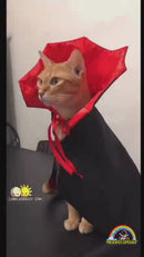 ✨Fantasia de Vampirinho👻