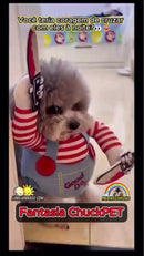 🎭 ChuckyPet – O Terror Mais Fofo do Mundo 🔪🐾