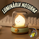 🌜 Mini Luminária Gotinha Encantada – Noite Iluminada - Recarregável Tipo C.🔋